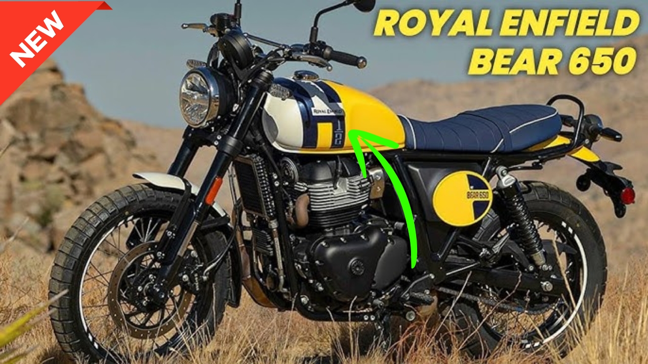 Royal Enfield Bear 650